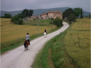 Descubriendo Perugia a caballo